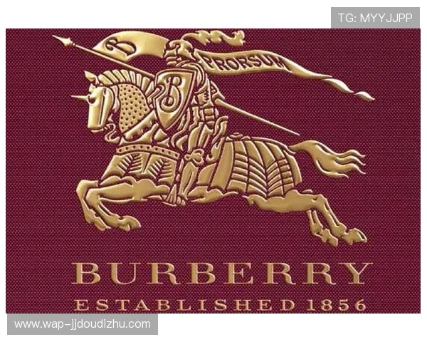 巴宝莉娱乐：通过创新科技提升用户娱乐体验的战略布局